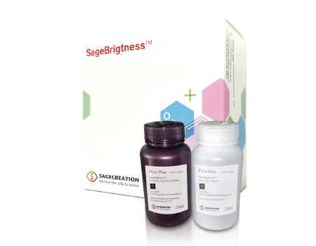 SageBrightness ® ECL化學發(fā)光底物試劑盒