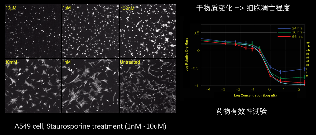 5、細(xì)胞毒性分析.png